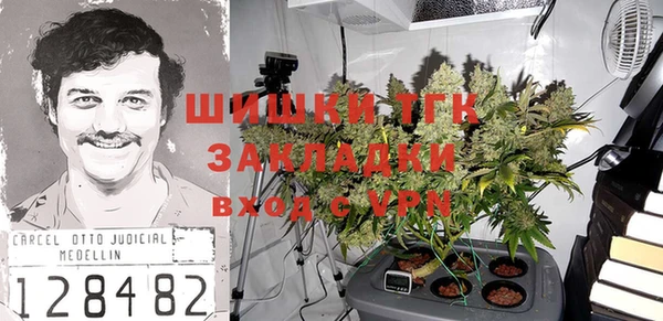 стафф Гусь-Хрустальный