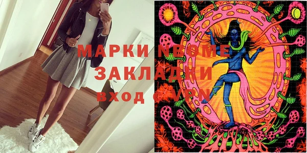 хмурый Гусев